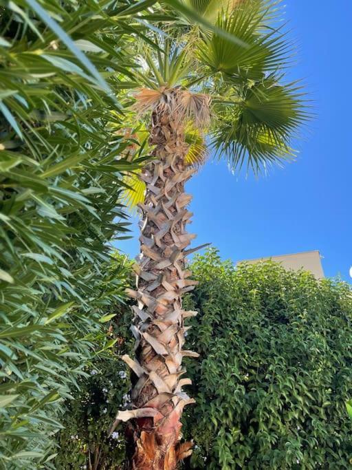 Excellent 3 Storey Villa With A Swimming Pool Belek Bagian luar foto